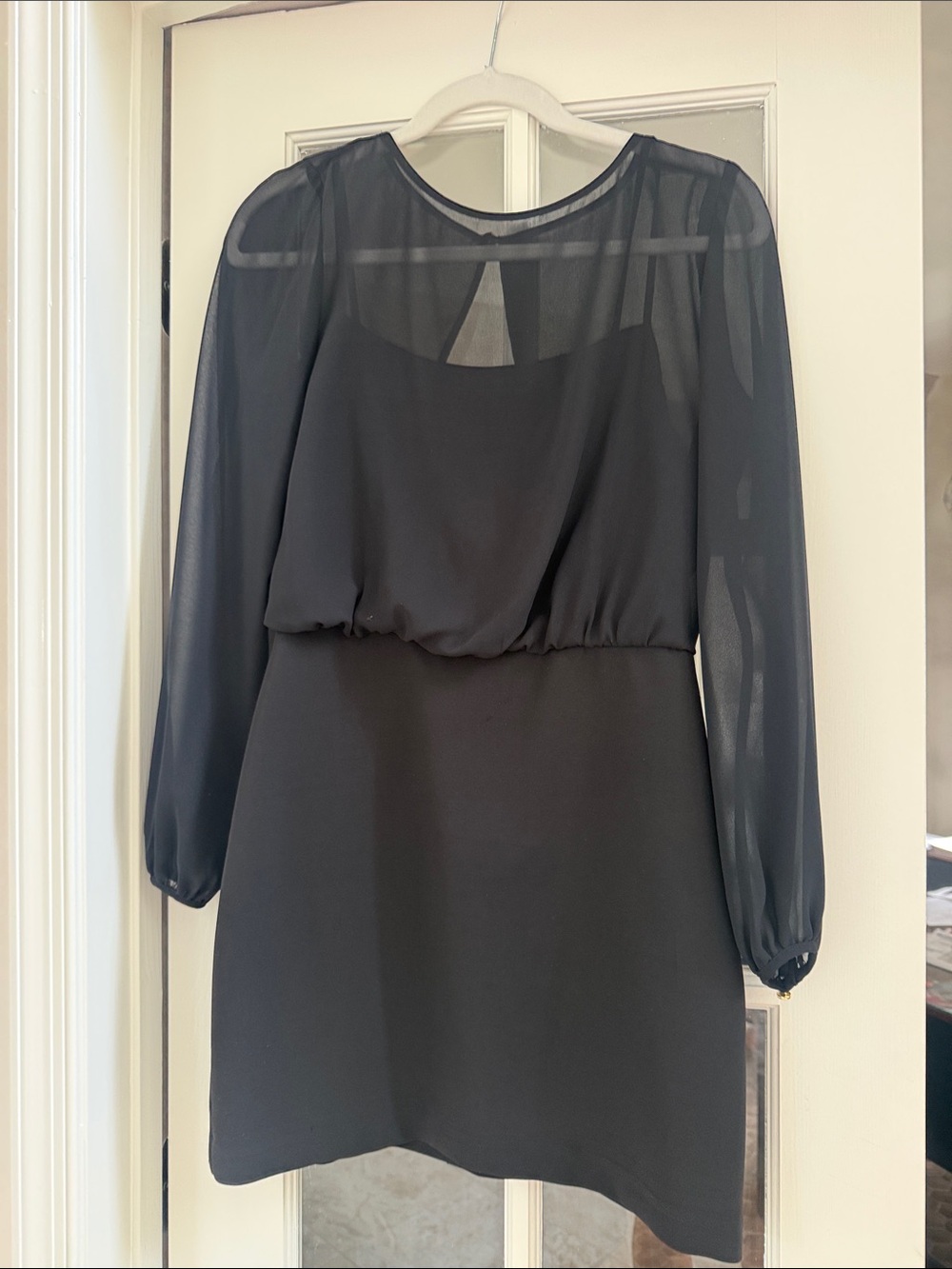 Banana Republic Sheer Long Sleeve Mini Dress